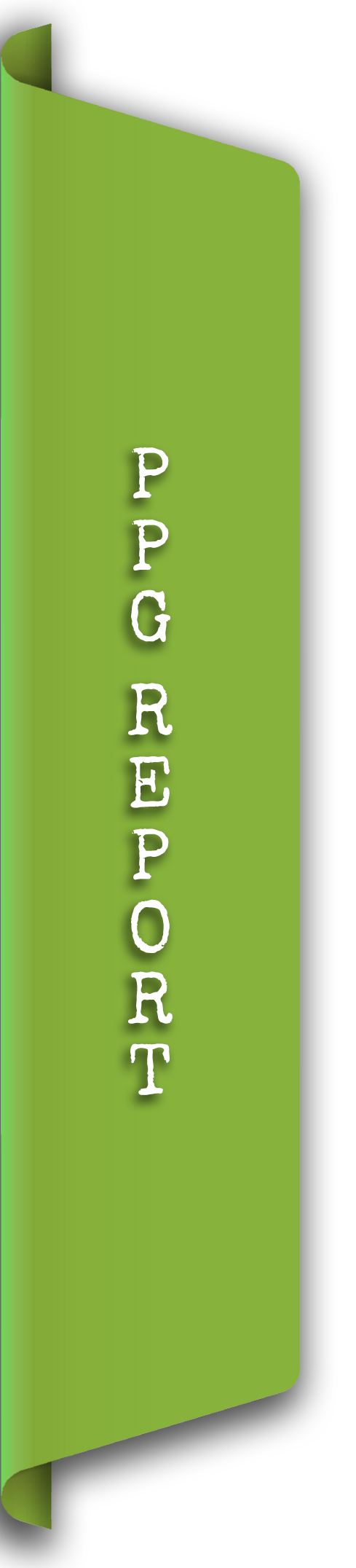PPG Report